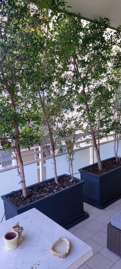 Garden Apartment Bari Bagian luar foto